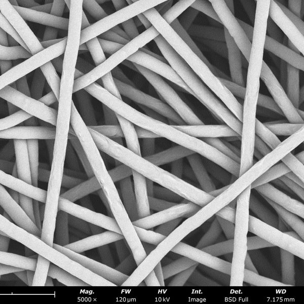 PCL fibers made with HFIP solvent