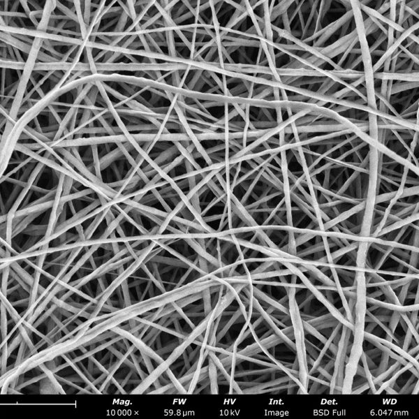 PEO fibers made using Millipore H2O solvent