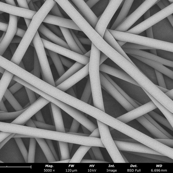 PLCL fibers developed with HFIP